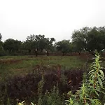 Sierra San Mamede 乡村民宿 La Codosera