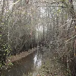 Sierra San Mamede