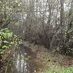 Sierra San Mamede 乡村民宿 *