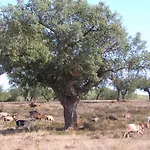 Sierra San Mamede La Codosera