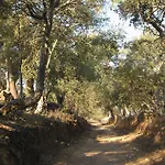 Sierra San Mamede 乡村民宿