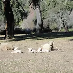 Sierra San Mamede La Codosera
