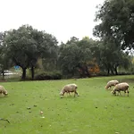 乡村民宿 Sierra San Mamede La Codosera