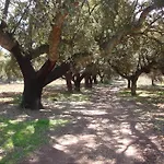 Sierra San Mamede La Codosera