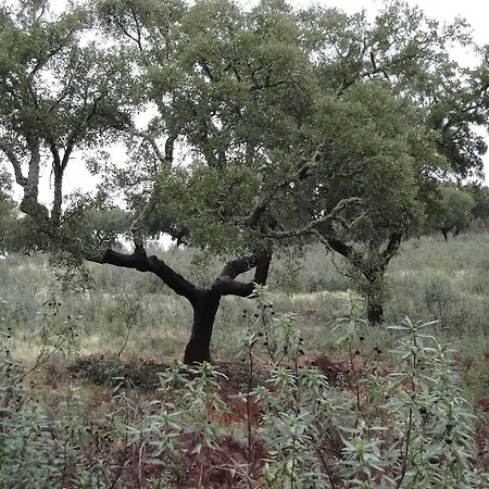 Country house Casa Rural Sierra San Mamede