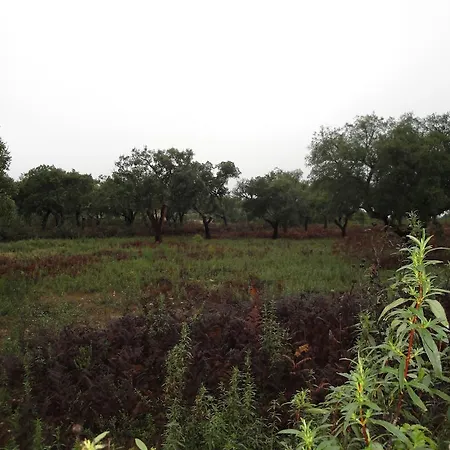 Sierra San Mamede Casa rural La Codosera