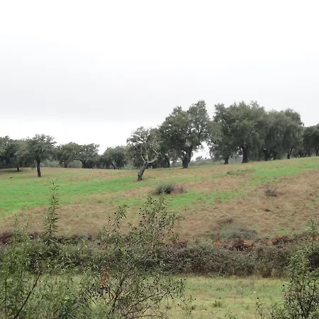 Sierra San Mamede La Codosera