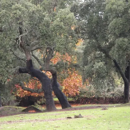 Sierra San Mamede Casa de Campo