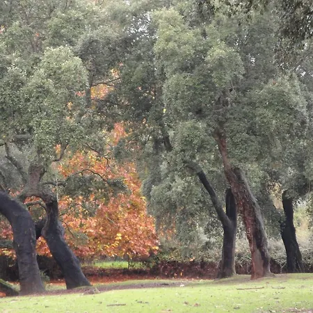 Casa de Campo Sierra San Mamede *