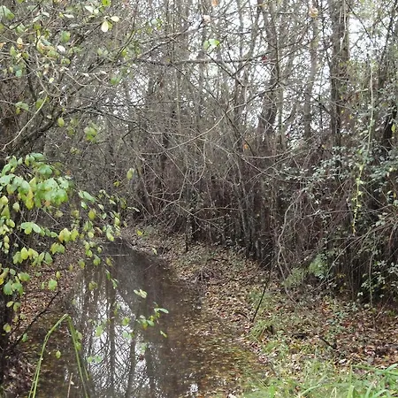 Sierra San Mamede Casa de Campo *