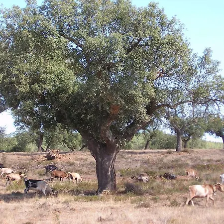 Casa Rural Sierra San Mamede La Codosera