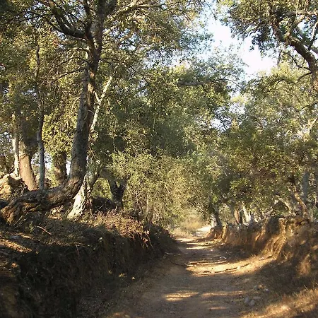Sierra San Mamede Casa de Campo