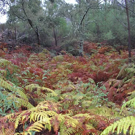 Country house Casa Rural Sierra San Mamede *
