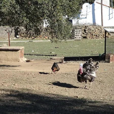 Casa Rural Sierra San Mamede * La Codosera