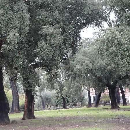 Casa Rural Sierra San Mamede Country house