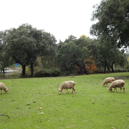 Country house Casa Rural Sierra San Mamede La Codosera