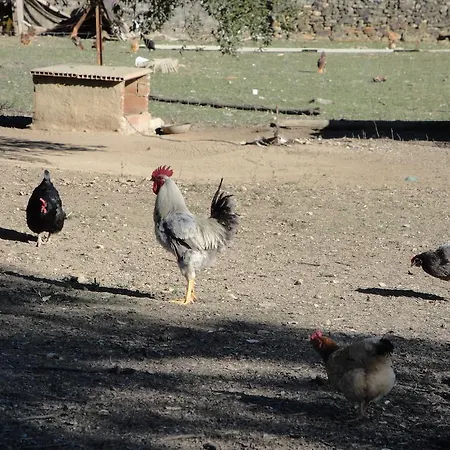 Sierra San Mamede Casa rural La Codosera