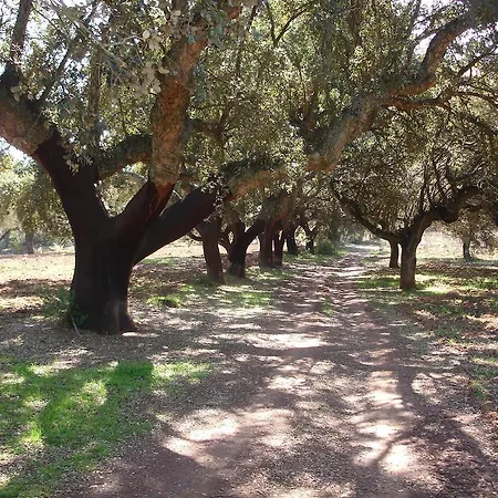Casa Rural Sierra San Mamede La Codosera