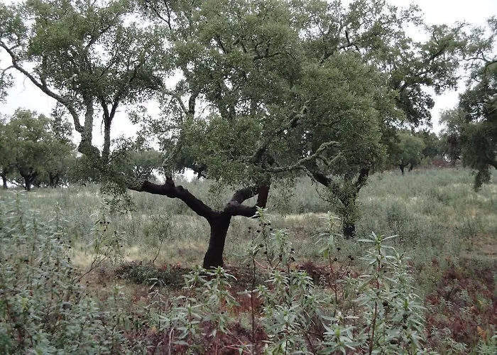 Séjour à la campagne Sierra San Mamede