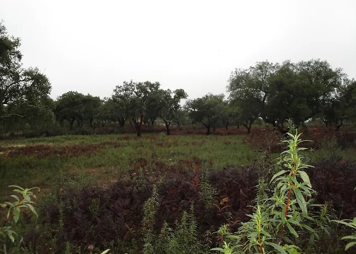 Sierra San Mamede Séjour à la campagne La Codosera