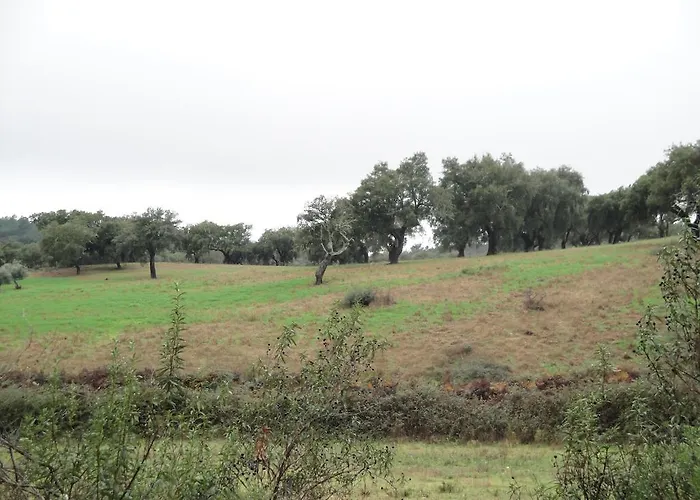 Sierra San Mamede La Codosera