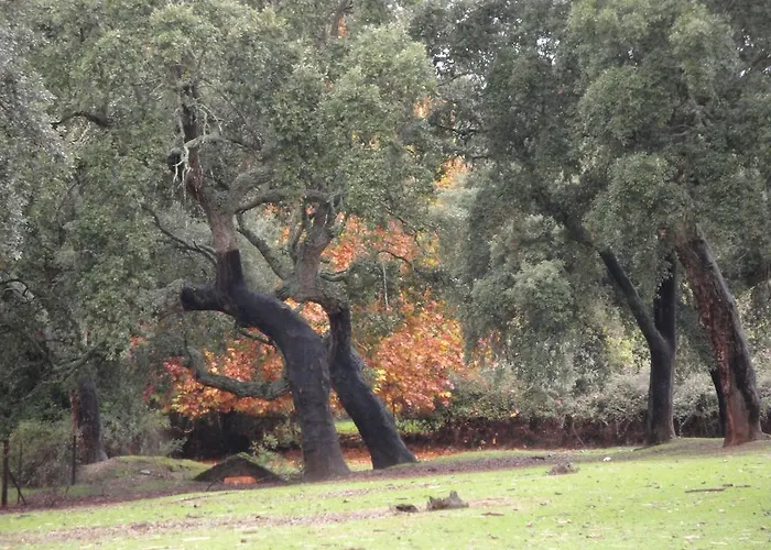 Sierra San Mamede Séjour à la campagne