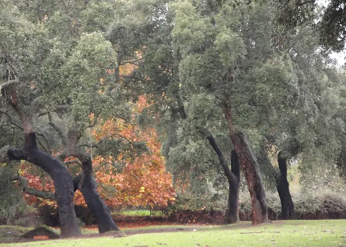 Landhuis Sierra San Mamede *