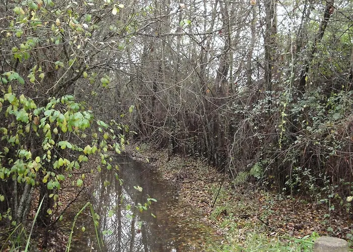 Sierra San Mamede Séjour à la campagne *