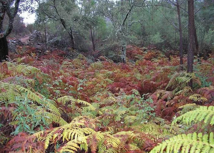 Landhuis Sierra San Mamede *