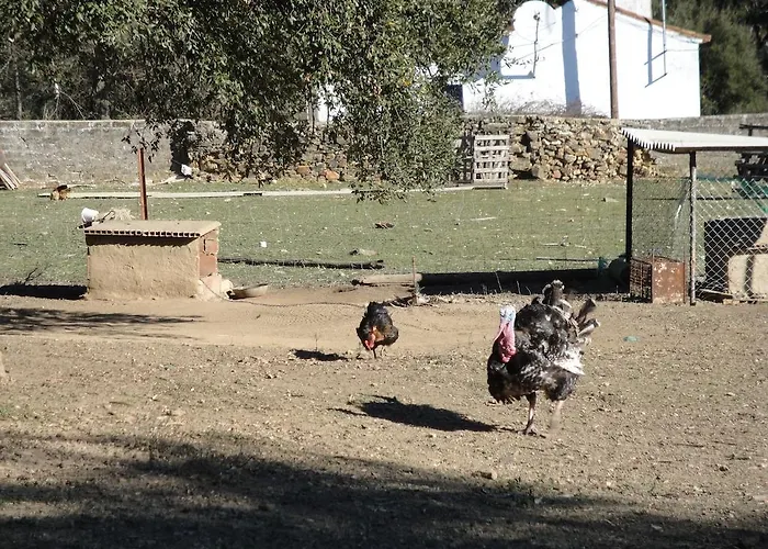 Sierra San Mamede * La Codosera