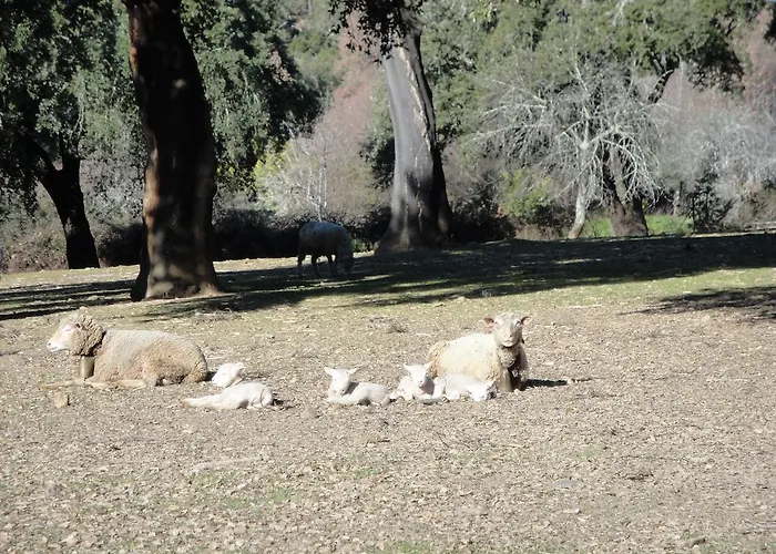 Sierra San Mamede La Codosera