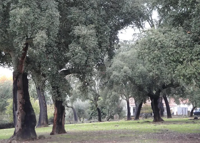 Sierra San Mamede Séjour à la campagne