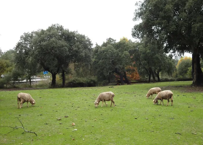 Landhuis Sierra San Mamede La Codosera