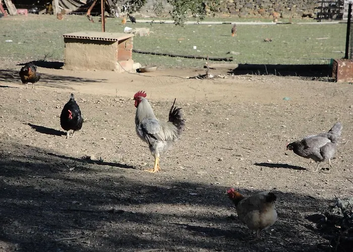 Sierra San Mamede Landhuis La Codosera